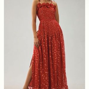 RARE Bhanuni by Jyoti Sheer Appliqué Dress